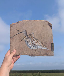The Journey of Life. Curlew painting on Sussex driftwood