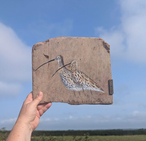 The Journey of Life. Curlew painting on Sussex driftwood