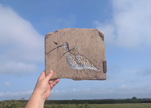 The Journey of Life. Curlew painting on Sussex driftwood - Image 2