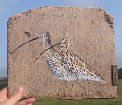 The Journey of Life. Curlew painting on Sussex driftwood - Image 3