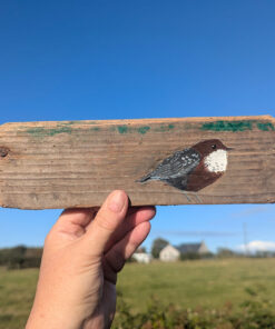 Mary the Dipper. Welsh driftwood