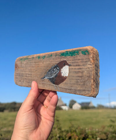 Mary the Dipper. Welsh driftwood - Image 3