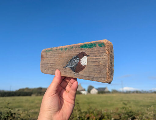 Mary the Dipper. Welsh driftwood - Image 3
