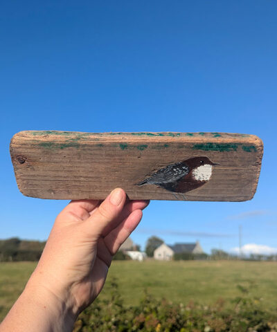 Alternative view of Mary the Dipper. Welsh driftwood