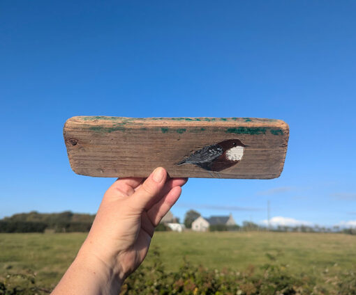 Mary the Dipper. Welsh driftwood - Image 2