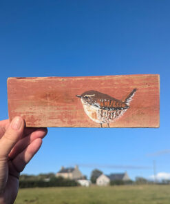 Oswald the Wren. Welsh driftwood