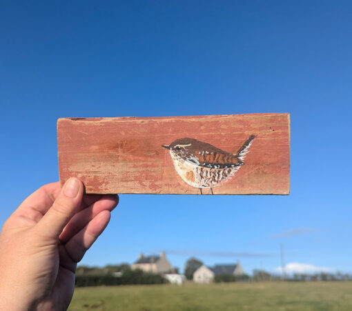 Oswald the Wren. Welsh driftwood