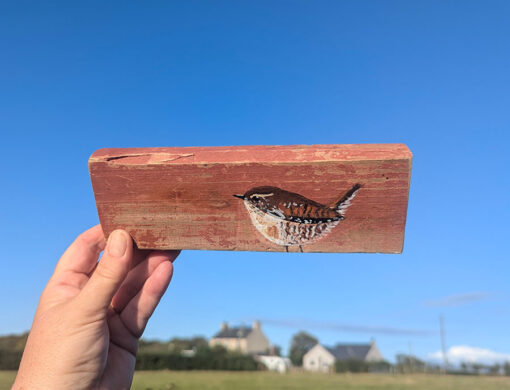 Oswald the Wren. Welsh driftwood - Image 2