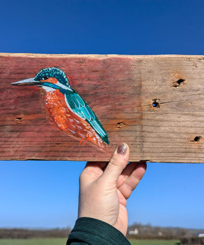 Glennis the Kingfisher. Welsh driftwood
