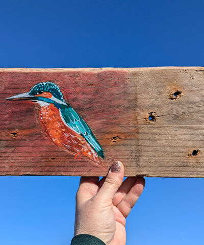 Alternative view of Glennis the Kingfisher. Welsh driftwood