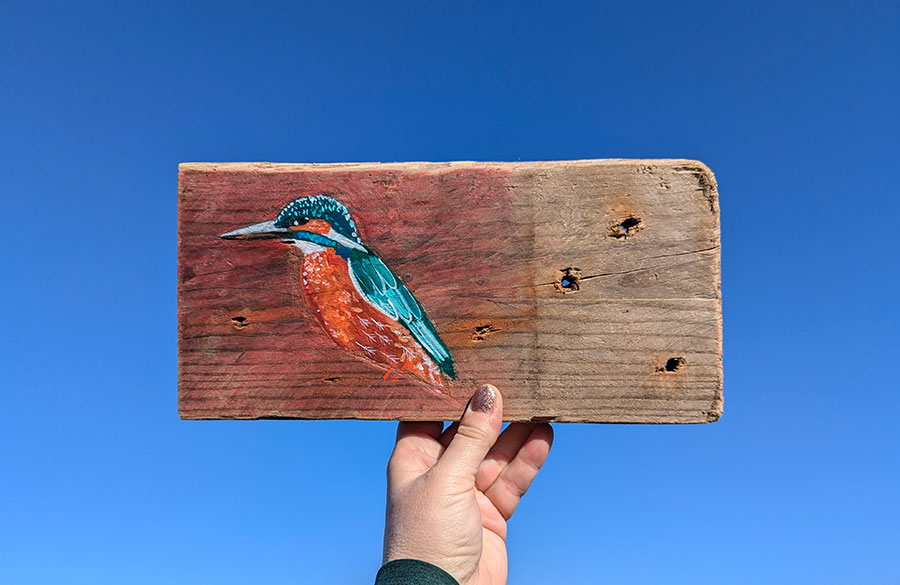 Glennis the Kingfisher. Welsh driftwood - Image 2