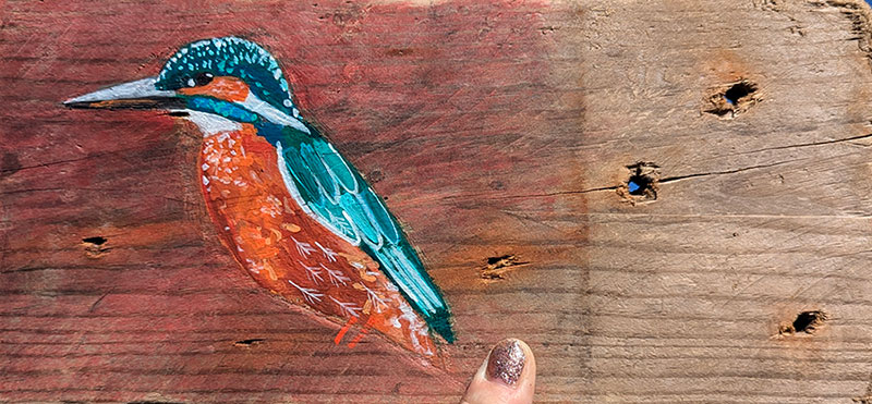 Glennis the Kingfisher. Welsh driftwood - Image 3