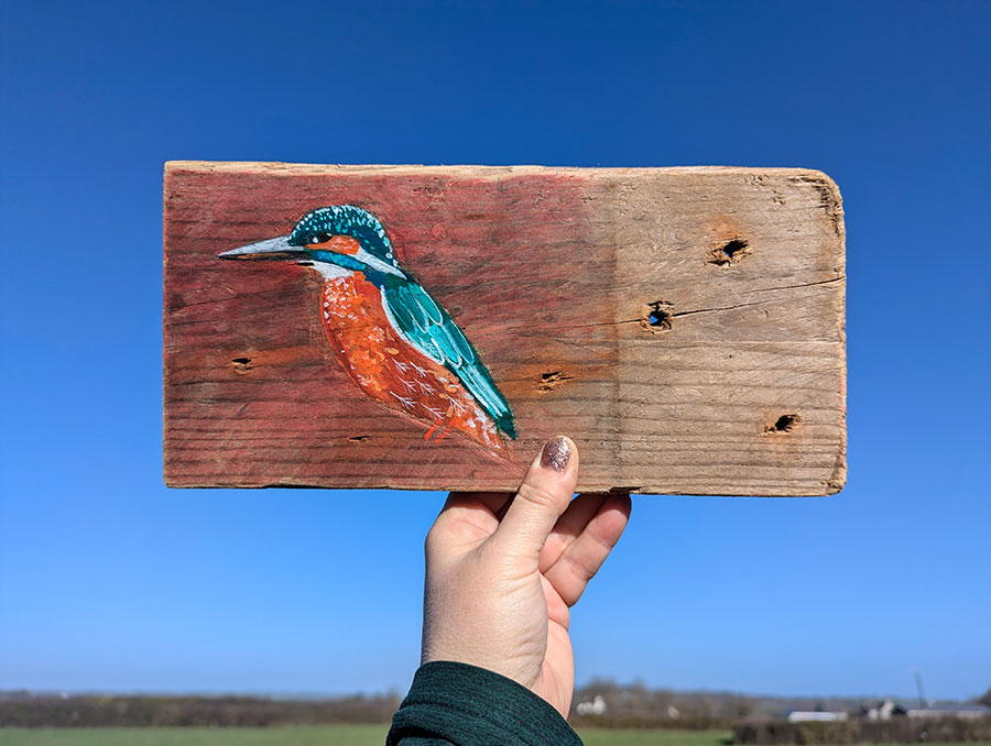 Glennis the Kingfisher. Welsh driftwood