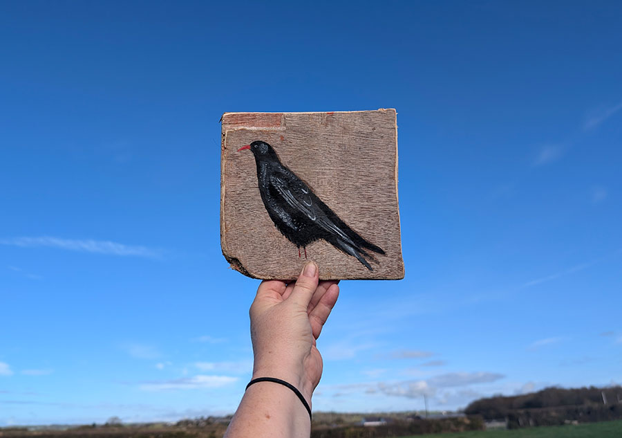 Beatrix the Chough. Sussex driftwood - Image 2