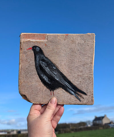 Beatrix the Chough. Sussex driftwood