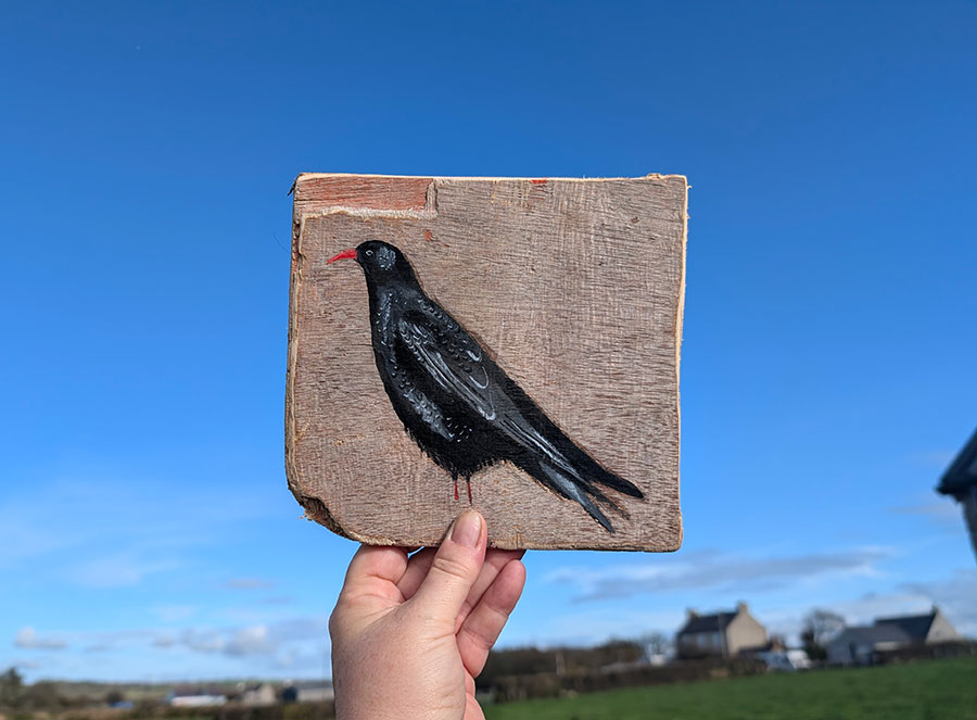 Beatrix the Chough. Sussex driftwood