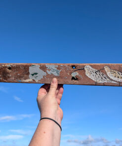 Side by Side. pair of Curlews. Welsh driftwood