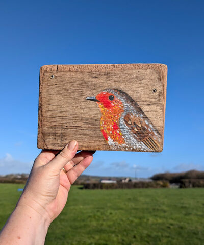 Alternative view of Alwyn, Robin detail on Welsh driftwood.