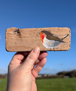 Delyth th Robin. Miniature painting on Welsh driftwood