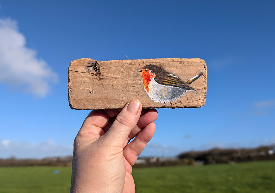 Delyth th Robin. Miniature painting on Welsh driftwood