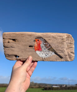 Elin the Robin. Sussex driftwood