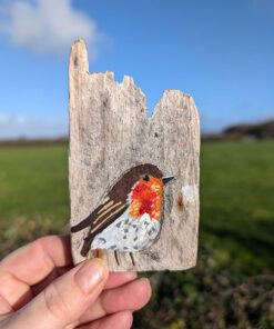 Gwen the Robin. Miniature painting on Welsh driftwood