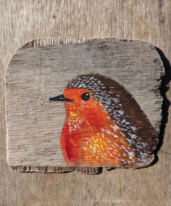 Marjorie, Robin detail. Welsh driftwood