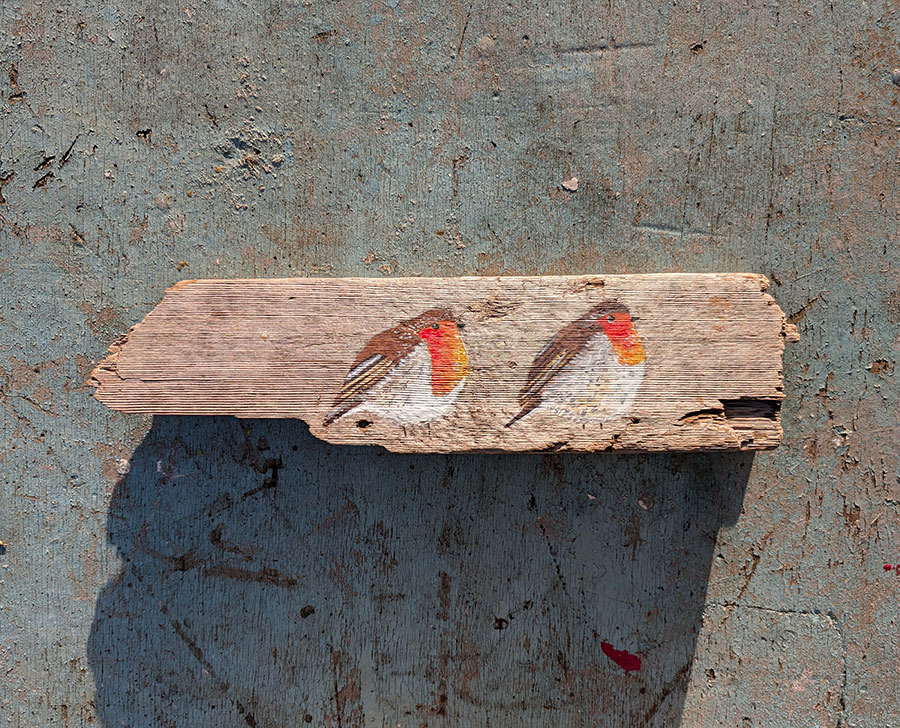 Double Trouble, Robin pair. Welsh driftwood. Currently reserved - Image 4
