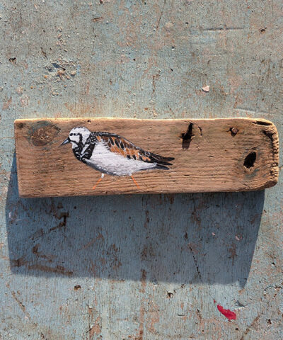 Edgar the Turnstone. Welsh driftwood - Image 4