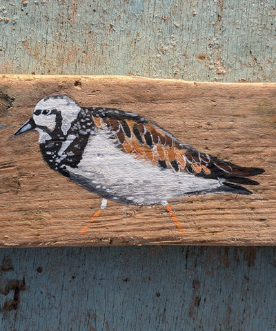 Edgar the Turnstone. Welsh driftwood