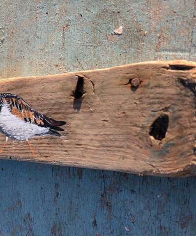 Edgar the Turnstone. Welsh driftwood - Image 3