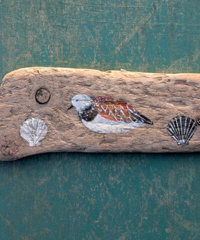 Jeremy was an avid collector of shells. Turnstone painting on Welsh driftwood - Image 3