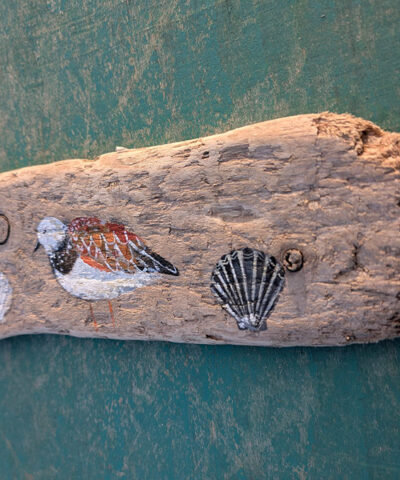 Alternative view of Jeremy was an avid collector of shells. Turnstone painting on Welsh driftwood
