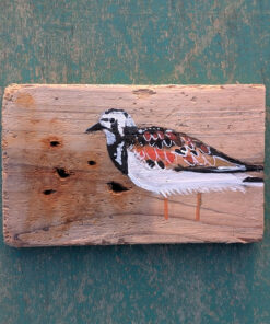 Rodger the Turnstone. Welsh driftwood