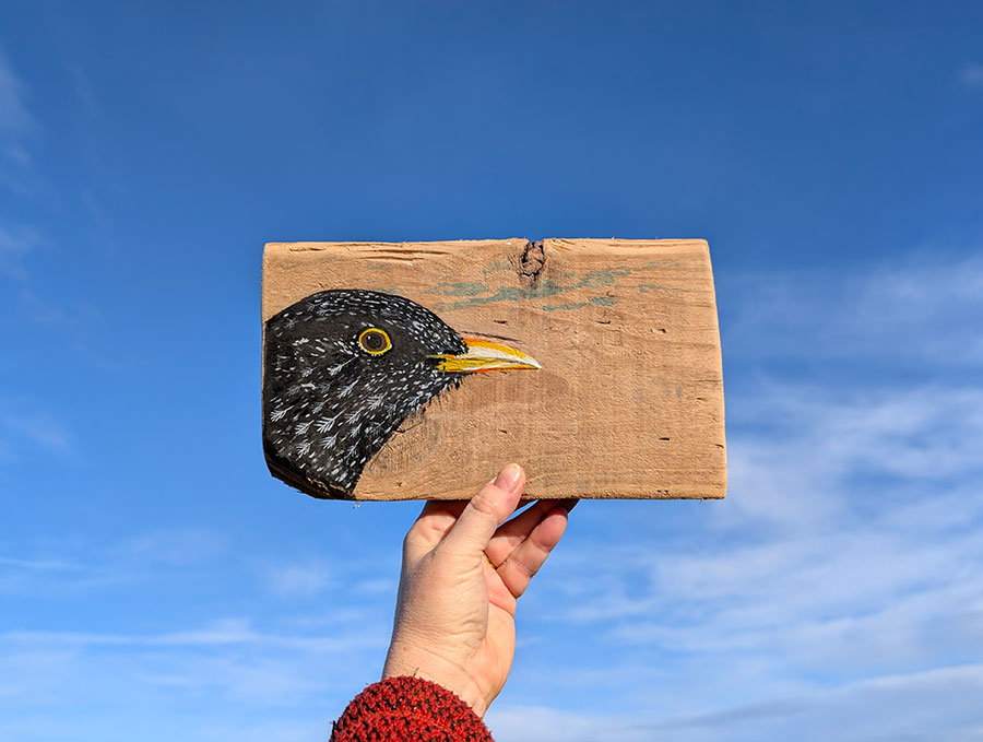 Bryn. Blackbird detail. Welsh driftwood - Image 3
