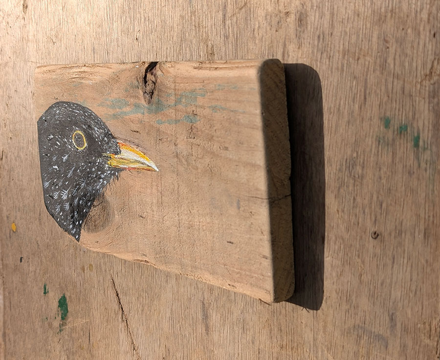 Bryn. Blackbird detail. Welsh driftwood - Image 2
