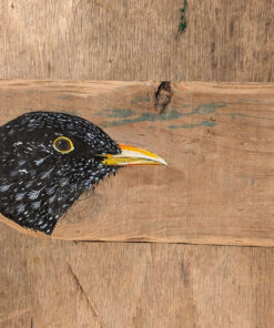 Bryn. Blackbird detail. Welsh driftwood
