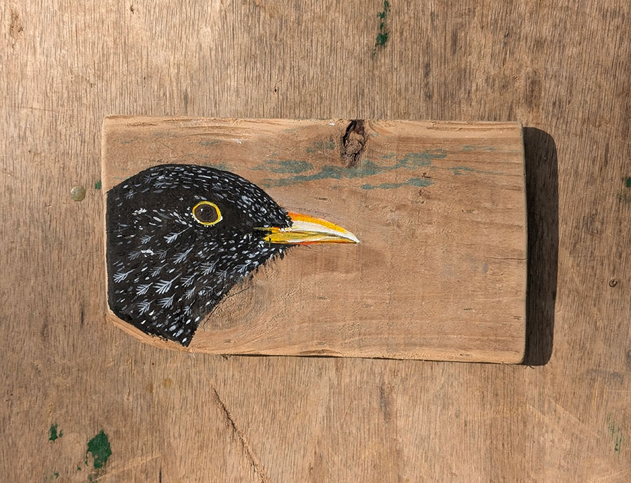 Bryn. Blackbird detail. Welsh driftwood