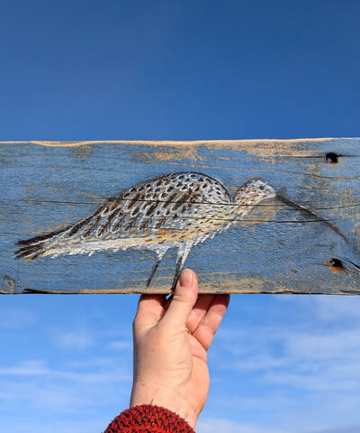 Alternative view of Lillith the Curlew. Reclaimed Welsh wood