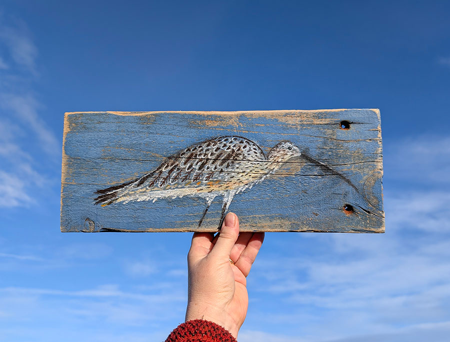 Lillith the Curlew. Reclaimed Welsh wood - Image 2