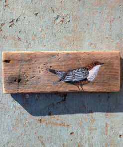 Eleri the Dipper. Welsh driftwood