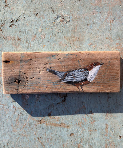 Eleri the Dipper. Welsh driftwood