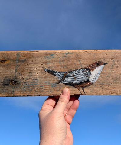 Eleri the Dipper. Welsh driftwood - Image 3
