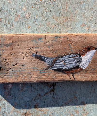 Alternative view of Eleri the Dipper. Welsh driftwood