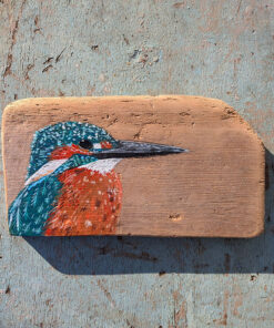 Evan, Kingfisher detail. Welsh driftwood