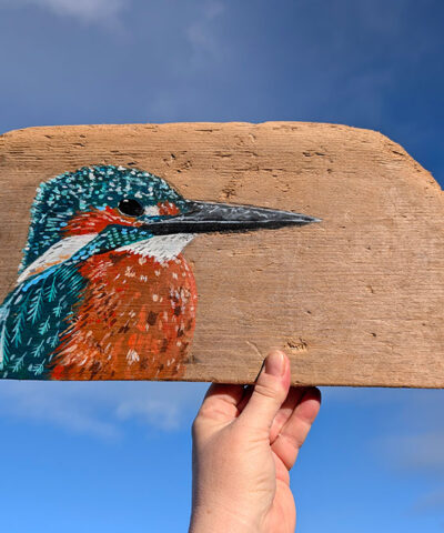 Alternative view of Evan, Kingfisher detail. Welsh driftwood