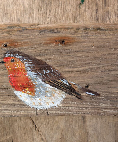 Alternative view of Joan the Robin. Sussex driftwood