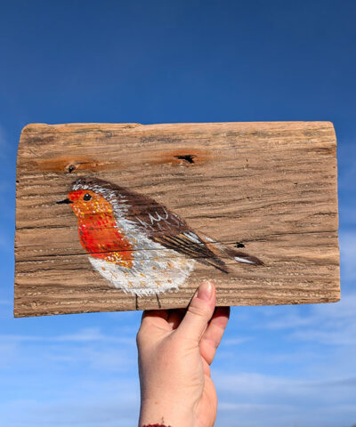 Joan the Robin. Sussex driftwood