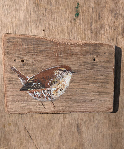 Alternative view of Vinny the Wren. Welsh driftwood