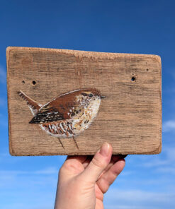 Vinny the Wren. Welsh driftwood